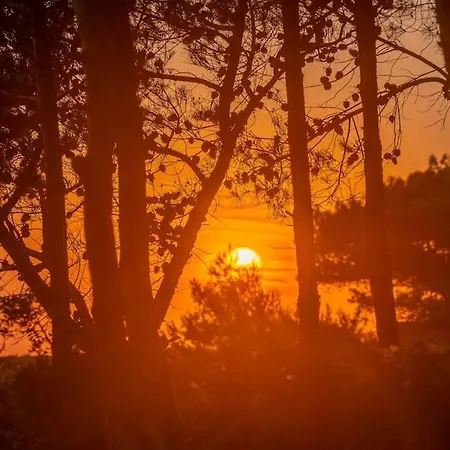 Seashell Luxury - 2 Lixouri