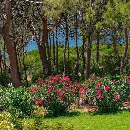 Apartment Seashell Luxury - 2 *